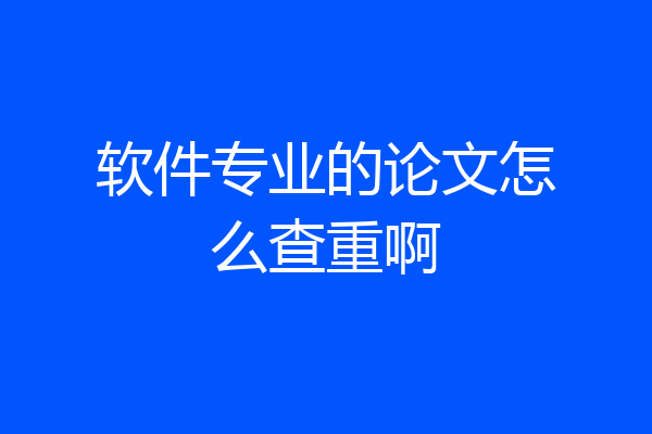 软件专业的论文怎么查重啊