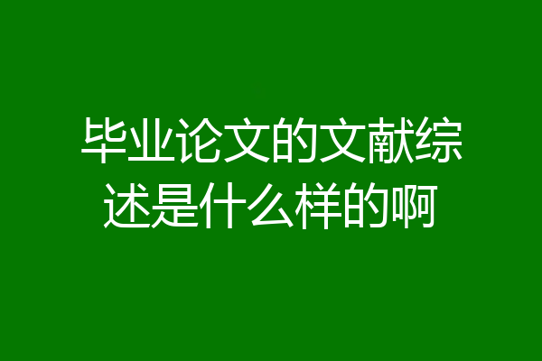 毕业论文的文献综述是什么样的啊