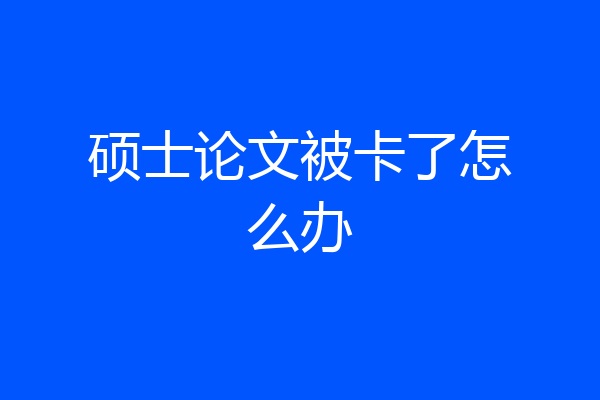 硕士论文被卡了怎么办
