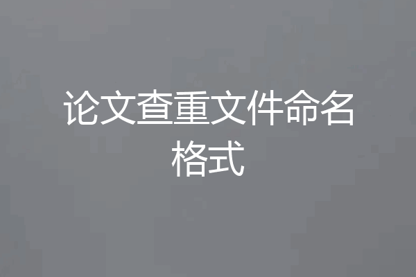 论文查重文件命名格式