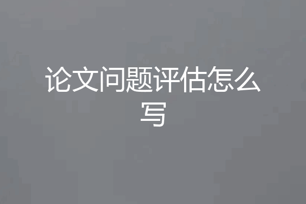 论文问题评估怎么写