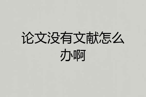 论文没有文献怎么办啊
