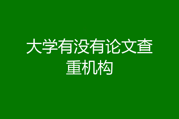 大学有没有论文查重机构