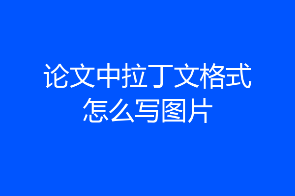 论文中拉丁文格式怎么写图片