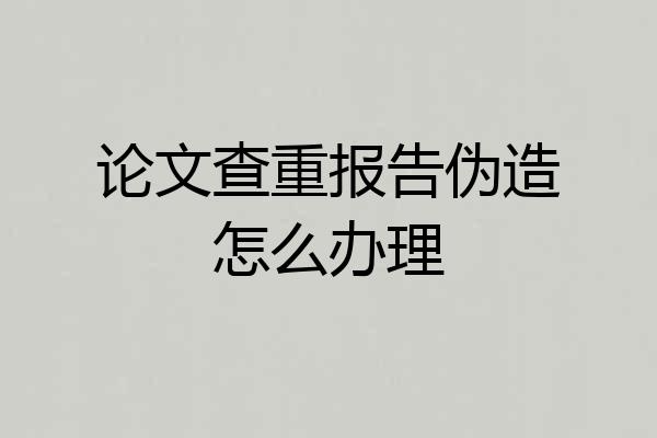 论文查重报告伪造怎么办理