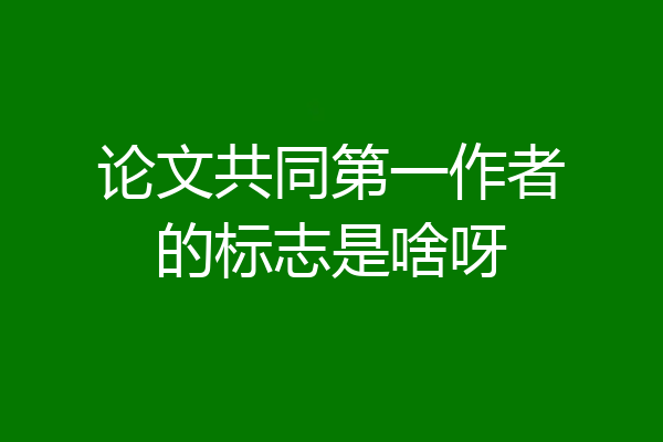 论文共同第一作者的标志是啥呀