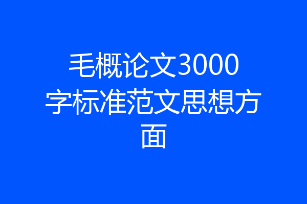 毛概论文3000字标准范文思想方面