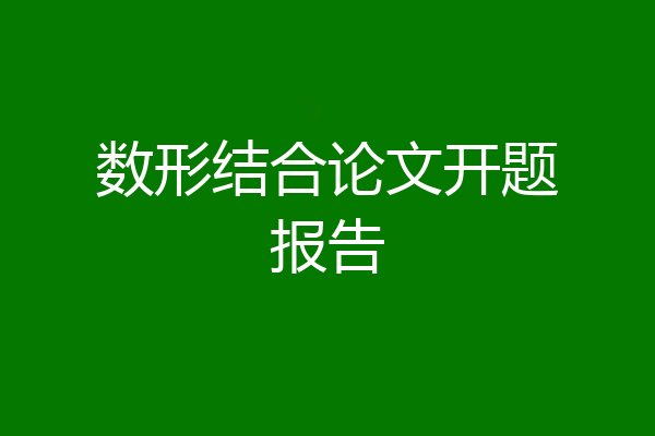 数形结合论文开题报告