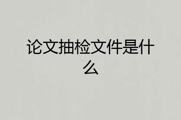 论文抽检文件是什么