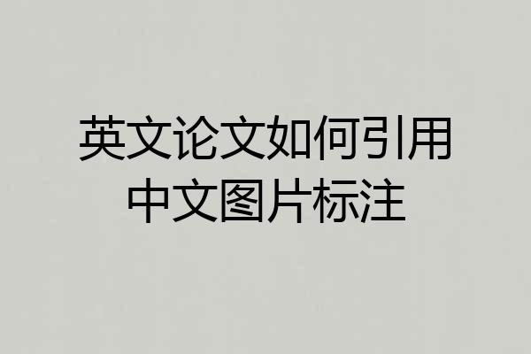 英文论文如何引用中文图片标注