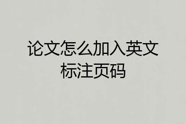论文怎么加入英文标注页码