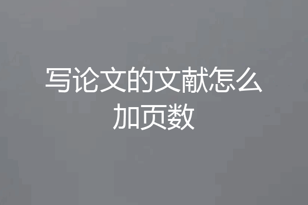 写论文的文献怎么加页数