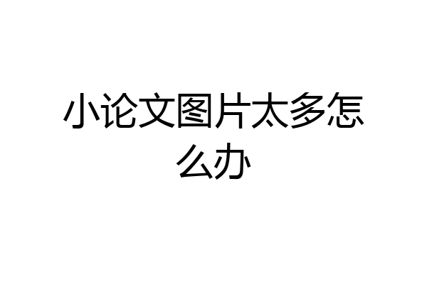 小论文图片太多怎么办
