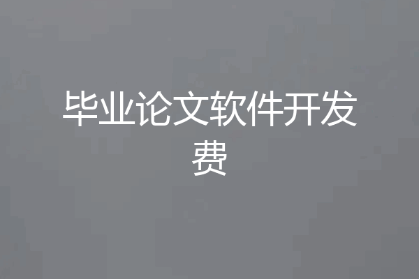 毕业论文软件开发费