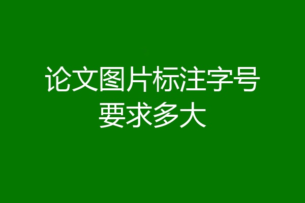 论文图片标注字号要求多大