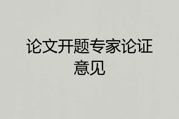 论文开题专家论证意见