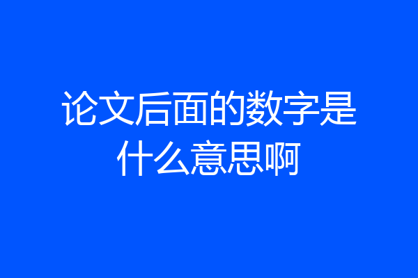 论文后面的数字是什么意思啊