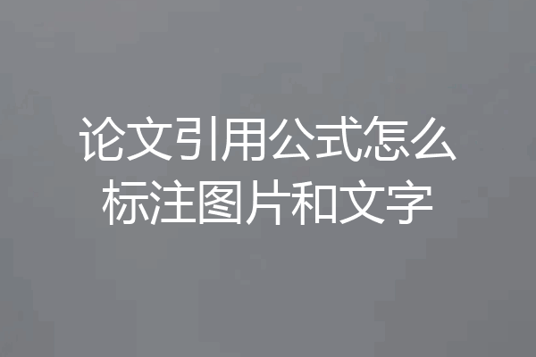 论文引用公式怎么标注图片和文字