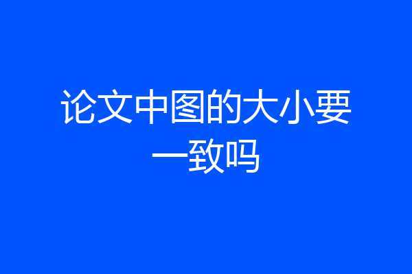 论文中图的大小要一致吗