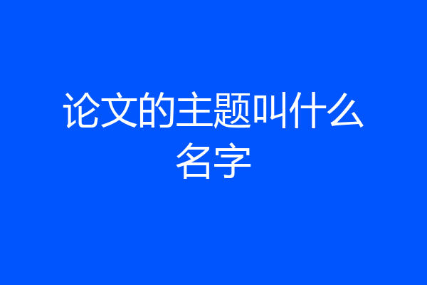 论文的主题叫什么名字