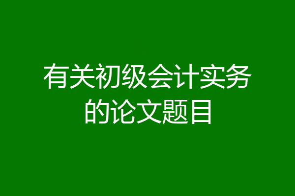 有关初级会计实务的论文题目