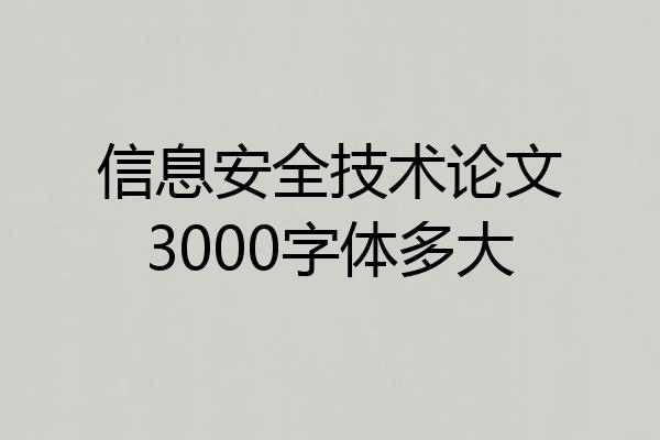信息安全技术论文3000字体多大