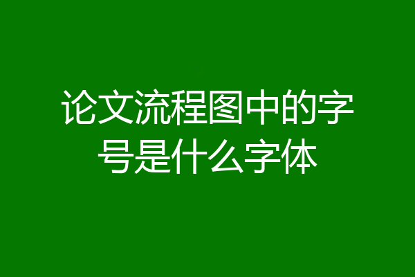 论文流程图中的字号是什么字体