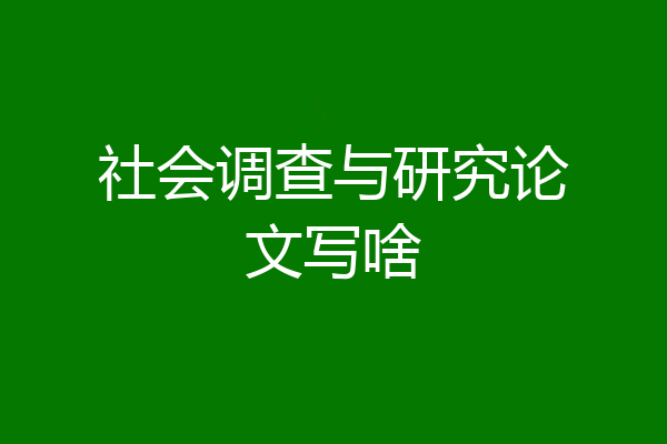 社会调查与研究论文写啥