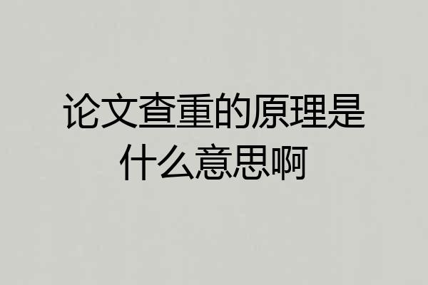 论文查重的原理是什么意思啊