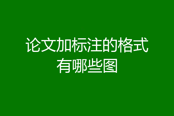 论文加标注的格式有哪些图