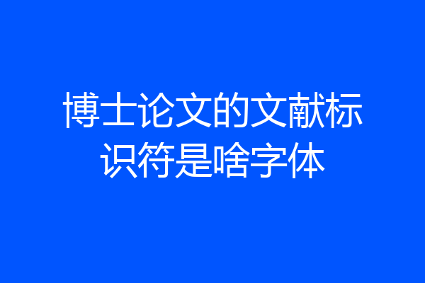 博士论文的文献标识符是啥字体