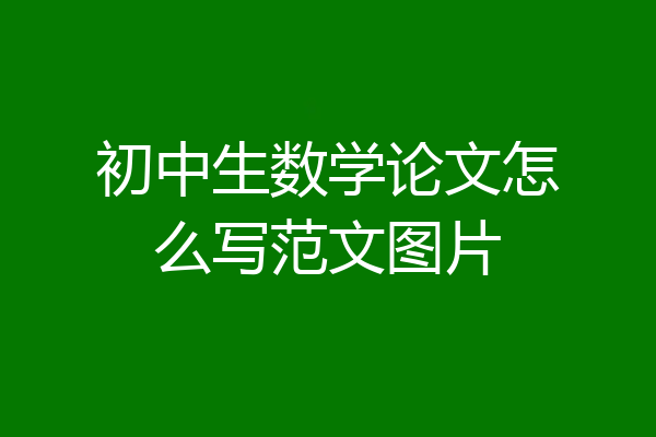 初中生数学论文怎么写范文图片