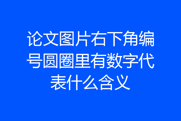 论文图片右下角编号圆圈里有数字代表什么含义