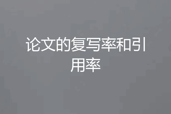 论文的复写率和引用率