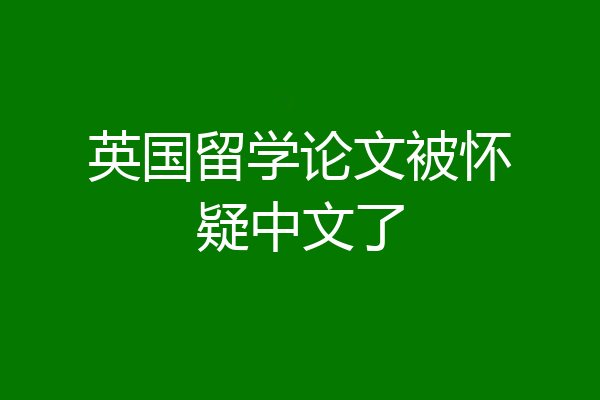 英国留学论文被怀疑中文了