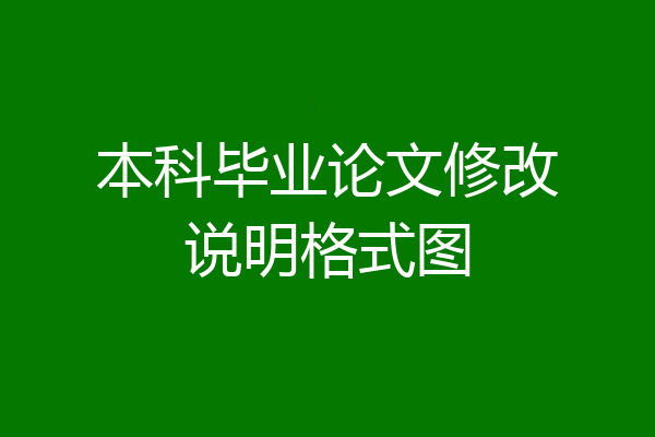 本科毕业论文修改说明格式图