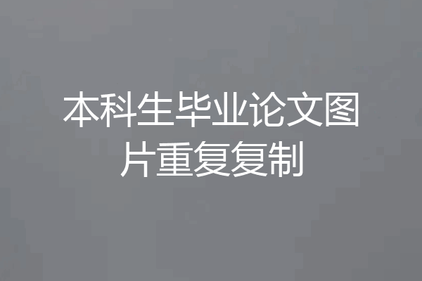 本科生毕业论文图片重复复制
