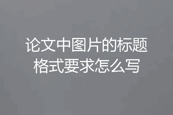 论文中图片的标题格式要求怎么写