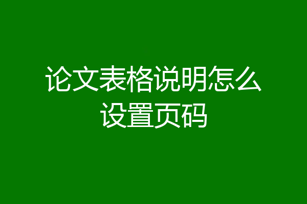 论文表格说明怎么设置页码