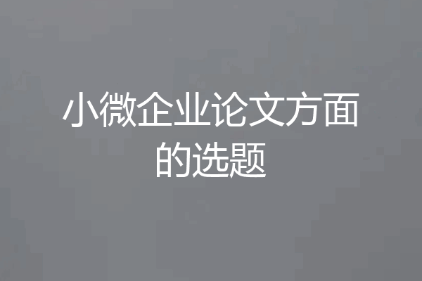 小微企业论文方面的选题