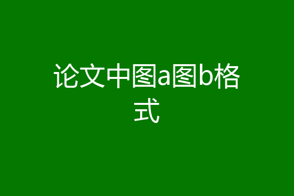 论文中图a图b格式