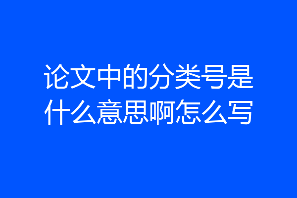 论文中的分类号是什么意思啊怎么写