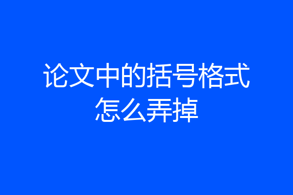 论文中的括号格式怎么弄掉