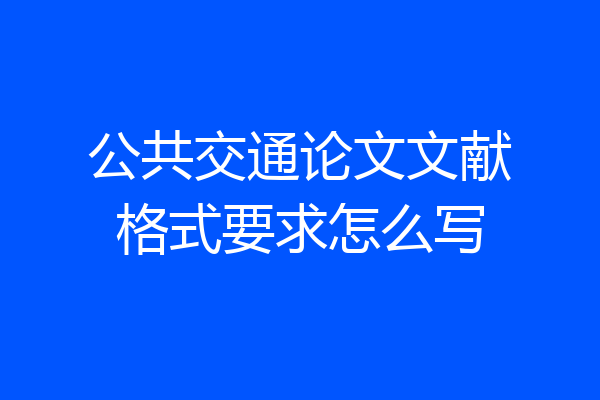 公共交通论文文献格式要求怎么写