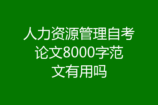 人力资源管理自考论文8000字范文有用吗
