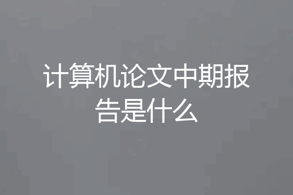 计算机论文中期报告是什么