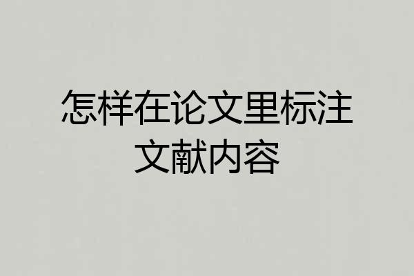 怎样在论文里标注文献内容