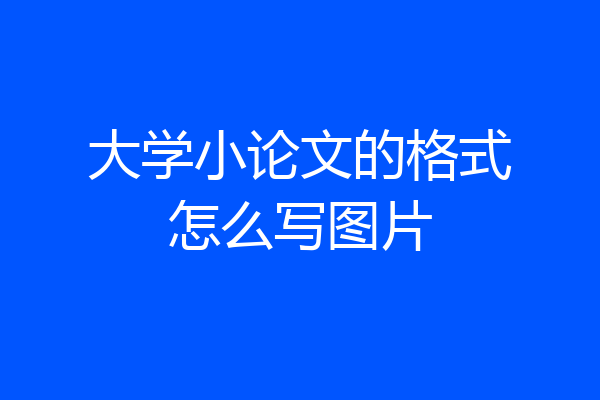大学小论文的格式怎么写图片
