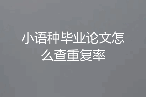 小语种毕业论文怎么查重复率