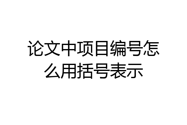 论文中项目编号怎么用括号表示
